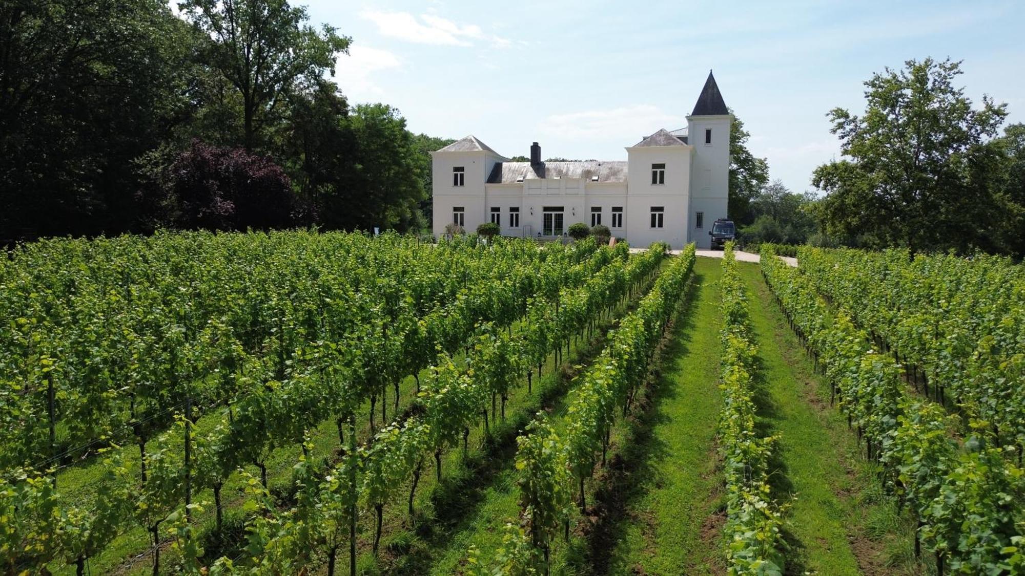 Wijnkasteel Haksberg Villa Tielt-Winge Luaran gambar